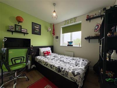 Picture 8